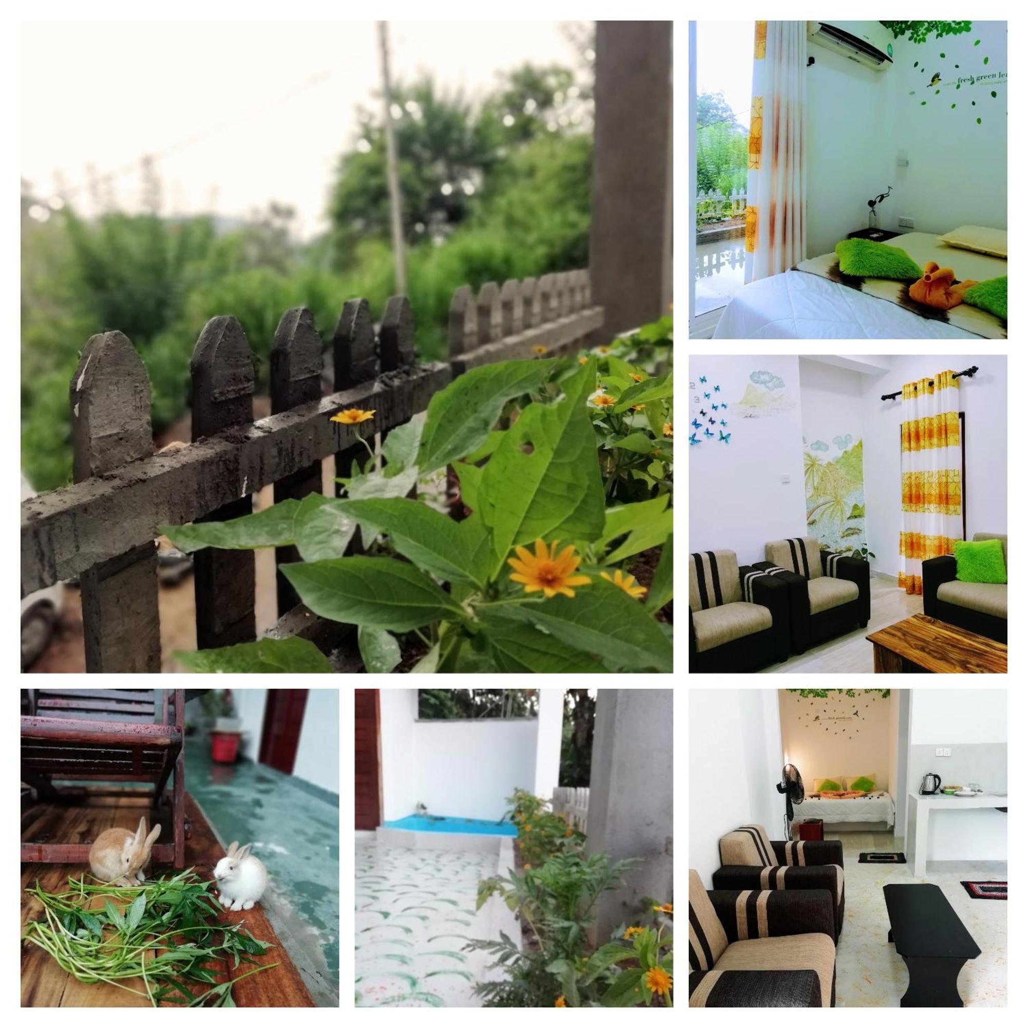 Ella C&D Paradise Hotell Rom bilde
